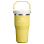 Swatch for Stanley 1913 The IceFlow™ Flip Straw Tumbler 20 OZ in Daffodil
